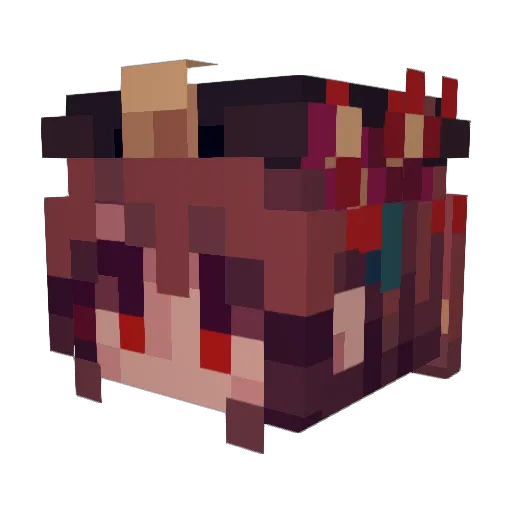 Ali501 Minecraft avatar head, 3D render