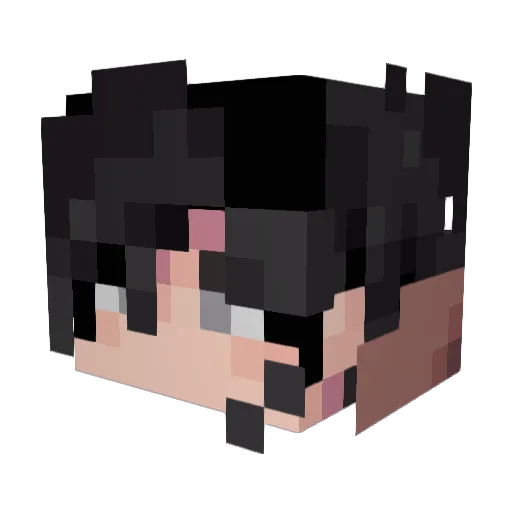 AliAlpaca Minecraft avatar head, 3D render