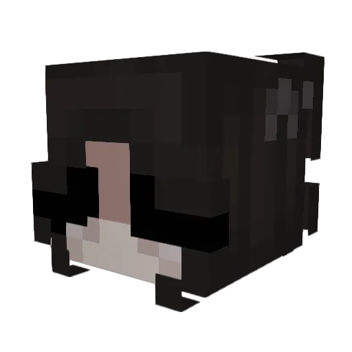 AliCe_825 Minecraft avatar head, 3D render