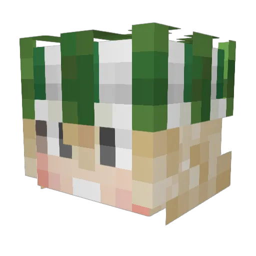 AliJB Minecraft avatar head, 3D render