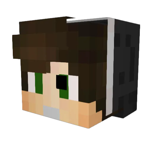 AliMinecraft34 Minecraft avatar head, 3D render
