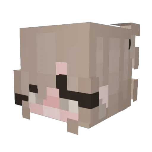 AliSalinass Minecraft avatar head, 3D render