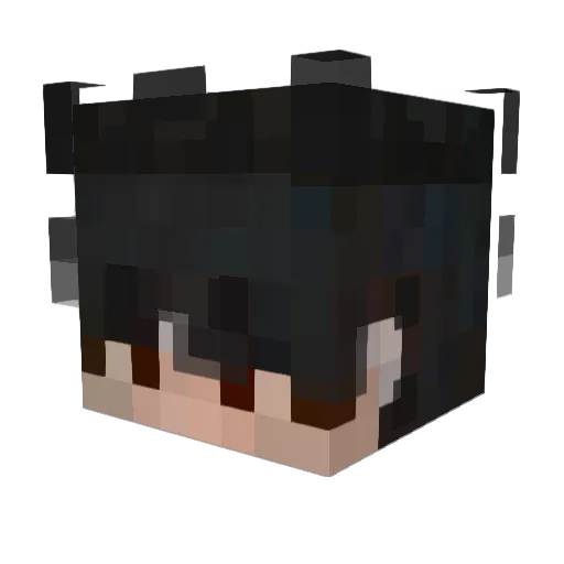 AliTheMiner123 Minecraft avatar head, 3D render
