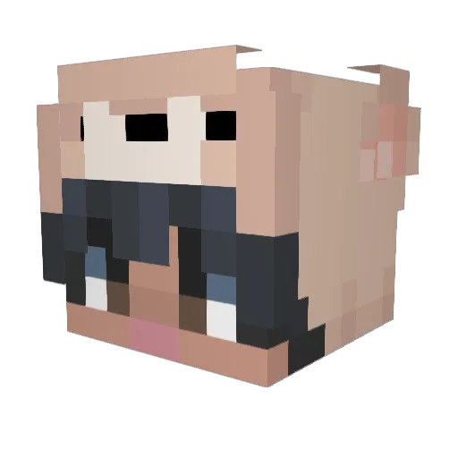 AliUni Minecraft avatar head, 3D render