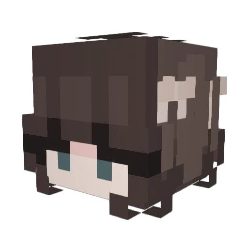 Ali_Hero1 Minecraft avatar head, 3D render