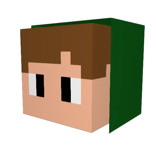Ali_Youtube7 Minecraft avatar head, 3D render