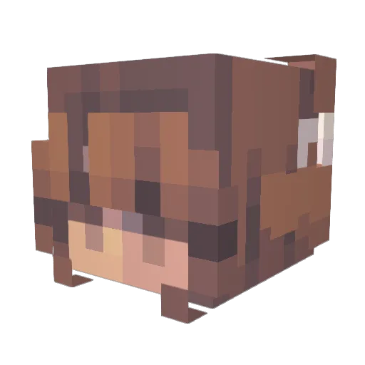 AlibuuAlsoAlice Minecraft avatar head, 3D render