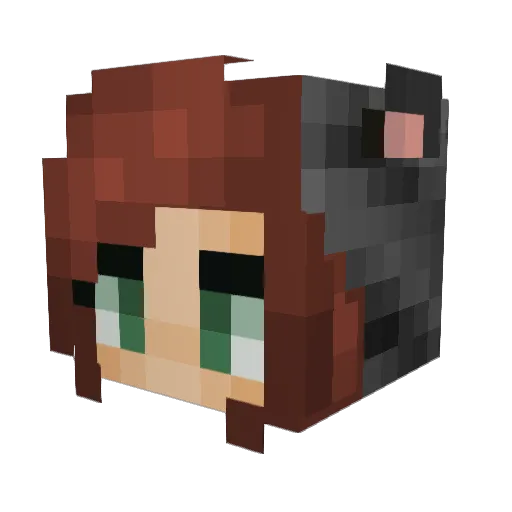 Alicat27 Minecraft avatar head, 3D render