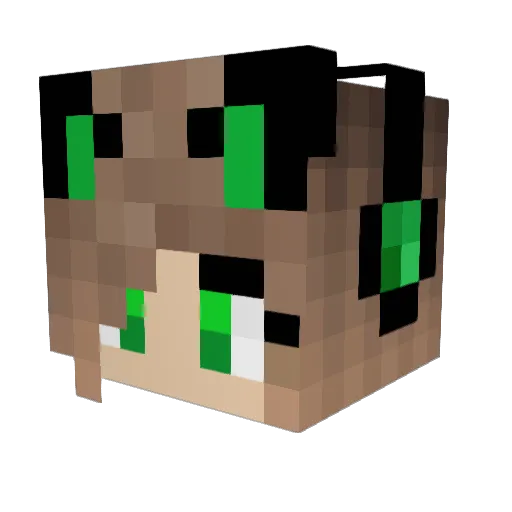 AliceC200 Minecraft avatar head, 3D render