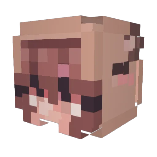 AliceElliot Minecraft avatar head, 3D render