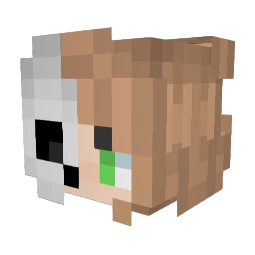 AliceMare64 Minecraft avatar head, 3D render