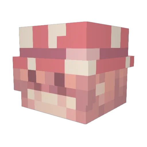 AliceOgier Minecraft avatar head, 3D render