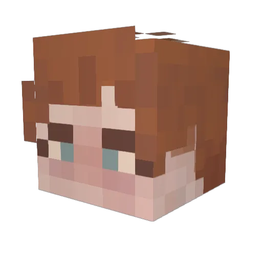 Alicebird Minecraft avatar head, 3D render