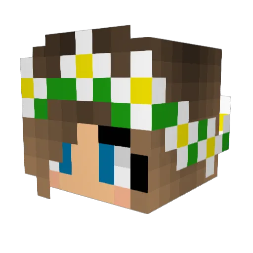 Aliceeee98 Minecraft avatar head, 3D render
