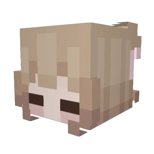 Alicesi2 Minecraft avatar head, 3D render