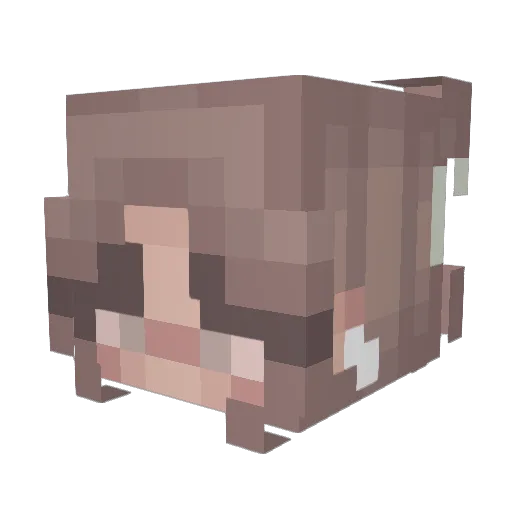 Alicja20000 Minecraft avatar head, 3D render
