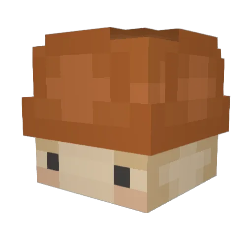 AlicjaLL Minecraft avatar head, 3D render