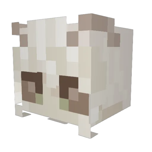 Alicjozza360 Minecraft avatar head, 3D render