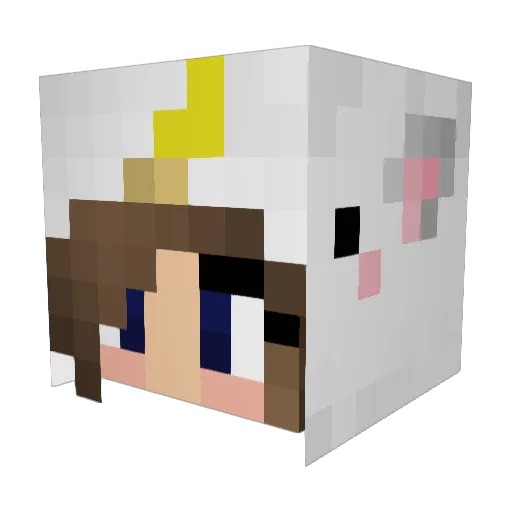 Alicorn315 Minecraft avatar head, 3D render