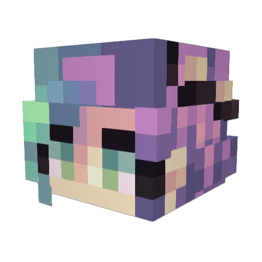 Alicornwishy Minecraft avatar head, 3D render