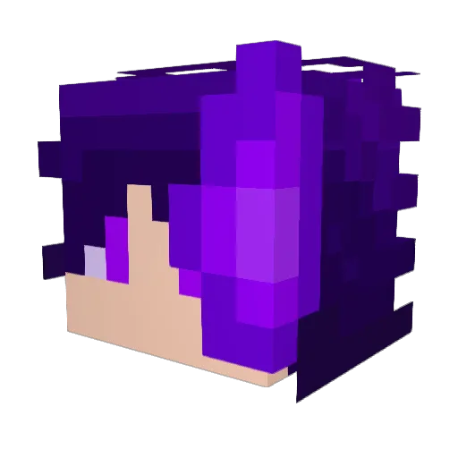 Alidrisel Minecraft avatar head, 3D render