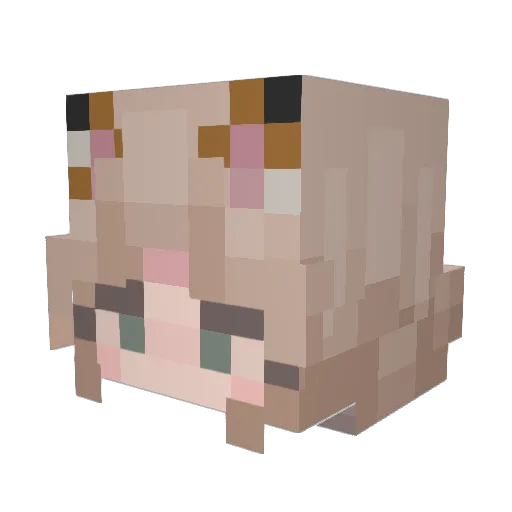 AlieSNK1 Minecraft avatar head, 3D render