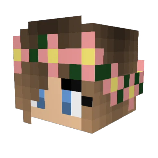 AlienGrapes Minecraft avatar head, 3D render