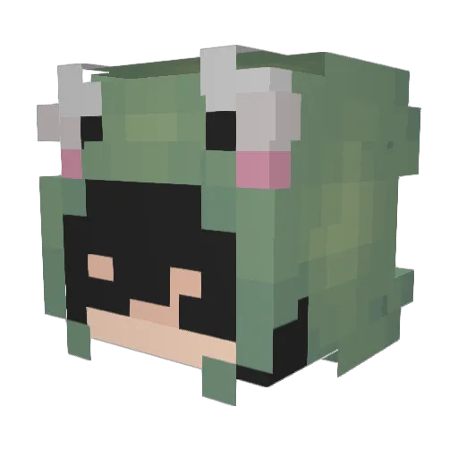 AlienHere Minecraft avatar head, 3D render