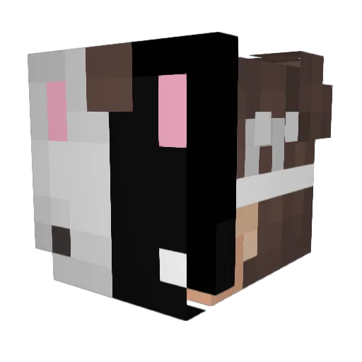 AlienSheepy Minecraft avatar head, 3D render