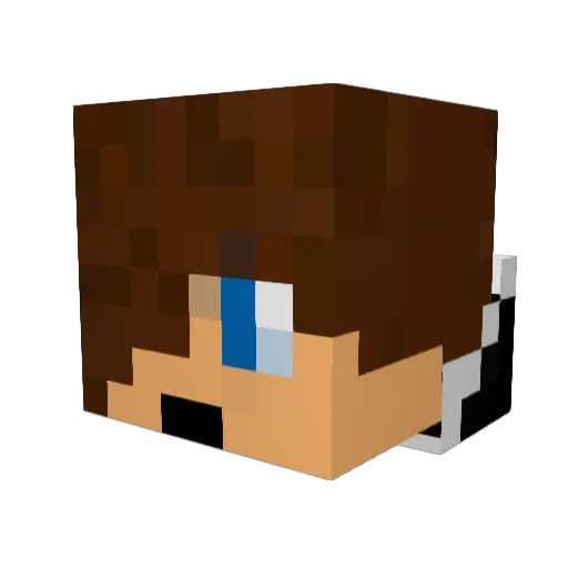 AlienSlayer98 Minecraft avatar head, 3D render