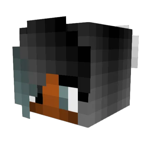 Alienatious Minecraft avatar head, 3D render
