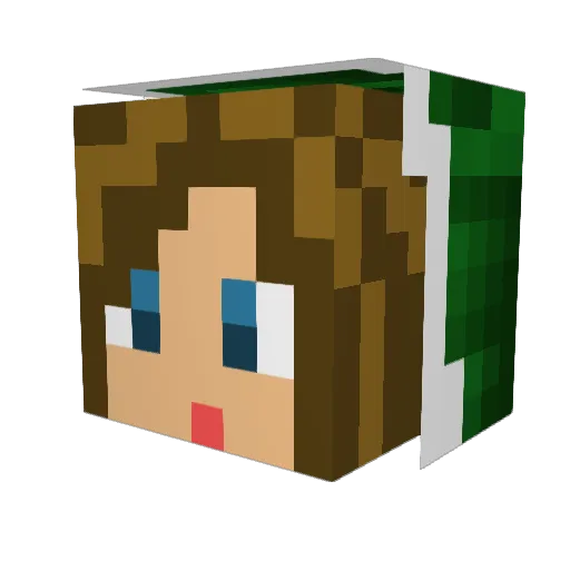 Aligaterr Minecraft avatar head, 3D render