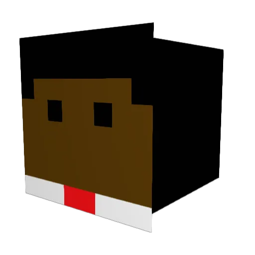 Alight6 Minecraft avatar head, 3D render