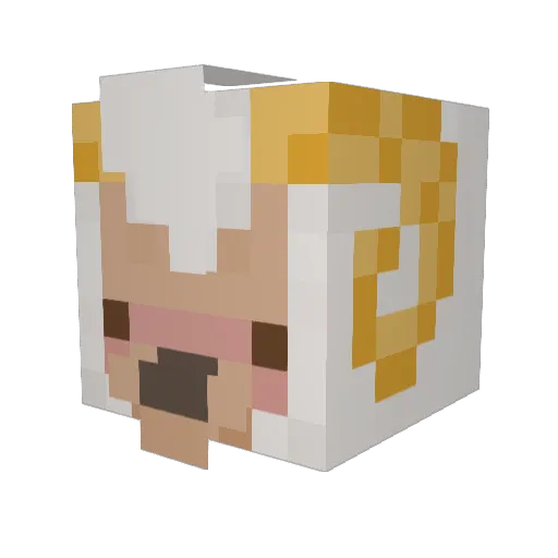 Alihotbuns Minecraft avatar head, 3D render