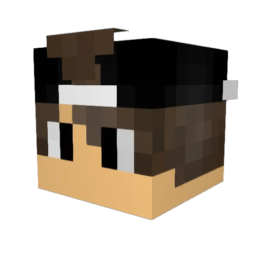 Alii203 Minecraft avatar head, 3D render