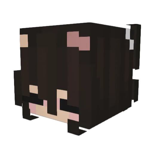 AliiceSiilva17 Minecraft avatar head, 3D render
