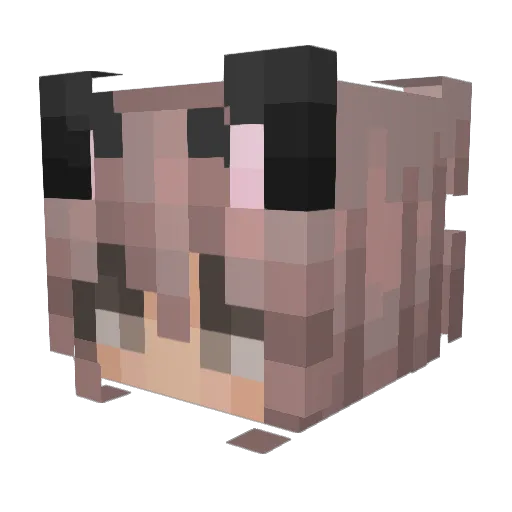 AliiiChan Minecraft avatar head, 3D render