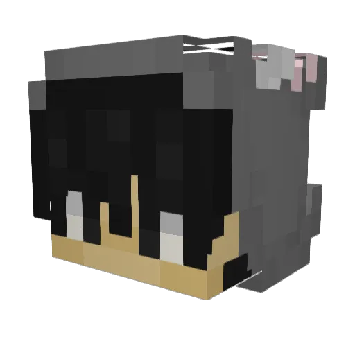 Aliimaann Minecraft avatar head, 3D render