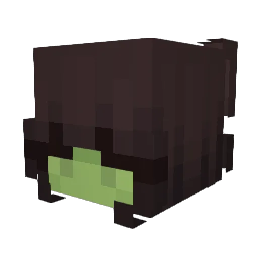 Aliiyah Minecraft avatar head, 3D render
