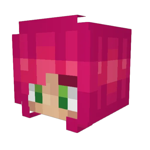 Alikoali24 Minecraft avatar head, 3D render