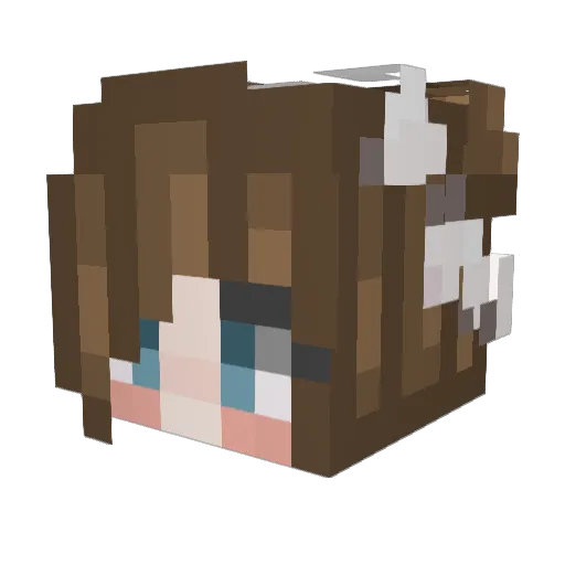 AliliMD Minecraft avatar head, 3D render
