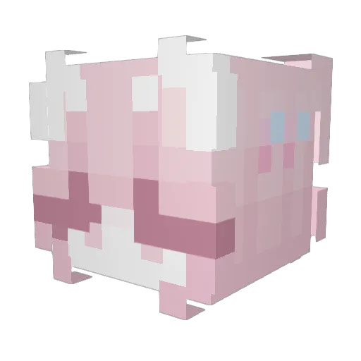 Alimohameddhea Minecraft avatar head, 3D render
