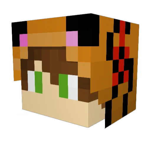 AlinAs2K15 Minecraft avatar head, 3D render