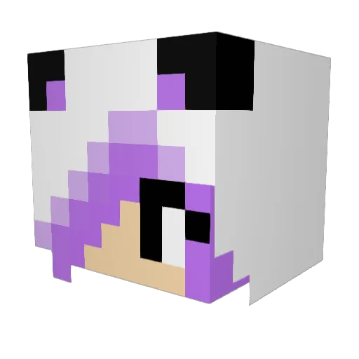 Alina0407 Minecraft avatar head, 3D render