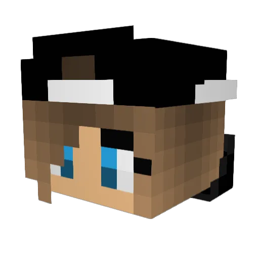 Alina1408 Minecraft avatar head, 3D render