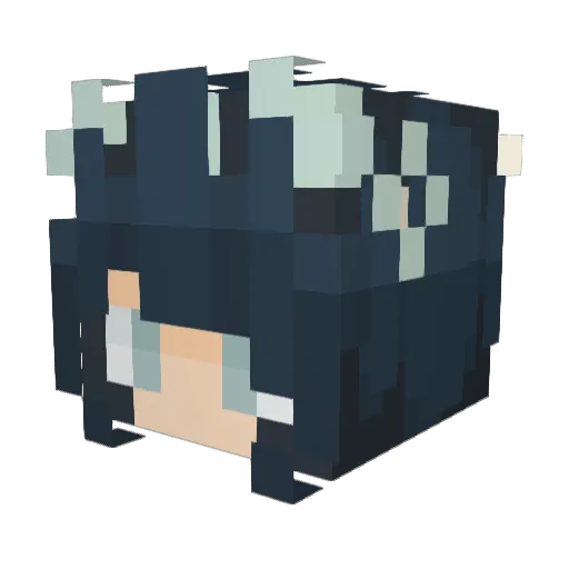 AlinaC0525 Minecraft avatar head, 3D render