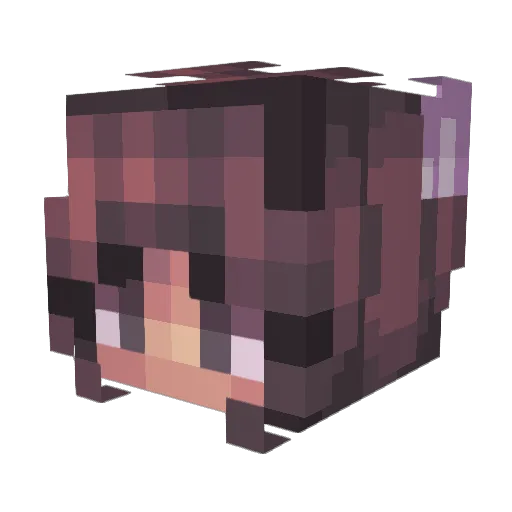 AlinaFaeS Minecraft avatar head, 3D render