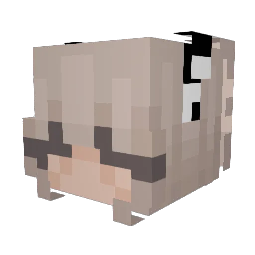 AlinaMLG Minecraft avatar head, 3D render