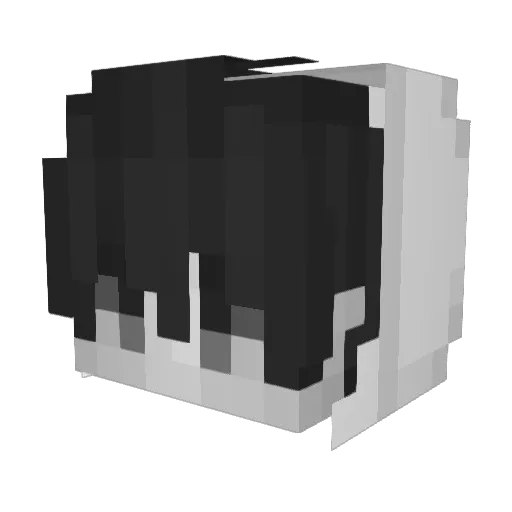 Alinailpro55 Minecraft avatar head, 3D render
