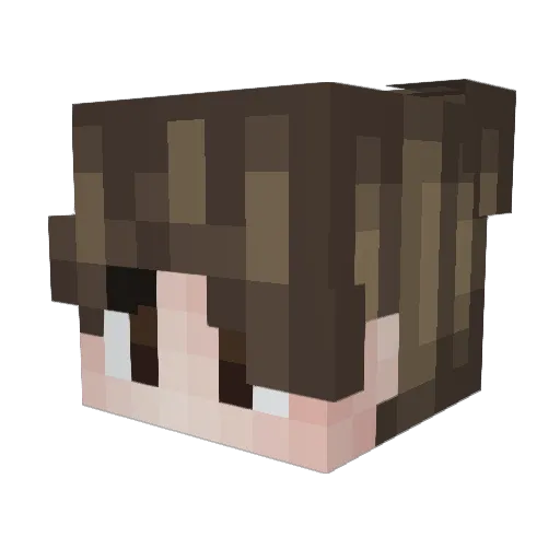 Alino1582 Minecraft avatar head, 3D render